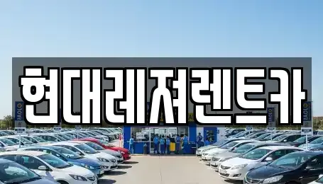 경기도 남양주시 금곡동 렌트카 전문 현대레져렌트카