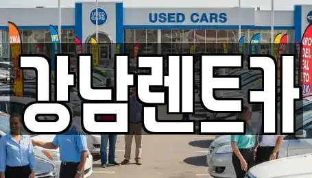 경기도 남양주시 금곡동 장기렌트카 전문 강남렌트카