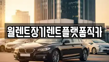 경기도 남양주시 금곡동 장기렌트카 전문 월렌트장기렌트플랫폼직카