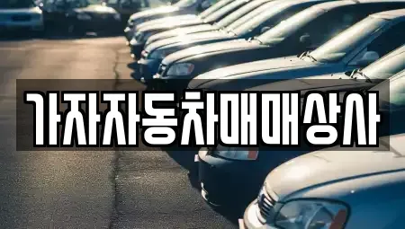 경기도 남양주시 금곡동 중고차 전문 가자자동차매매상사