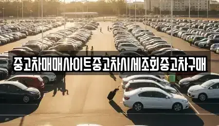 경기도 남양주시 금곡동 중고차 전문 중고차매매사이트중고차시세조회중고차구매