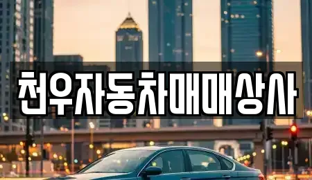 경기도 남양주시 금곡동 중고차 전문 천우자동차매매상사