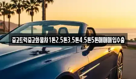 경기도 남양주시 금곡동 중고차매입 전문 중고트럭중고화물차1톤2.5톤3.5톤4.5톤5톤매매매입수출