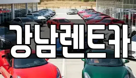 경기도 남양주시 평내동 단기렌트카 전문 강남렌트카