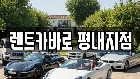 경기도 남양주시 평내동 렌트카 전문 렌트카바로 평내지점