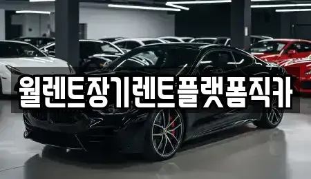 경기도 남양주시 평내동 장기렌트카 전문 월렌트장기렌트플랫폼직카