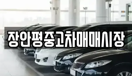 경기도 남양주시 평내동 중고차매매,단기렌트카,중고차매입,장기렌트카,중고차,렌트카