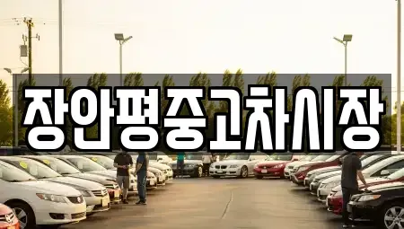 경기도 남양주시 평내동 중고차매매 전문 장안평중고차시장