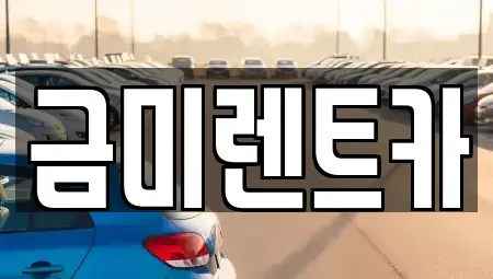 경기도 부천시 소사구 소사본동 렌트카 전문 금미렌트카