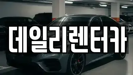 경기도 성남시 분당구 야탑동 단기렌트카 전문 데일리렌터카