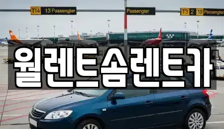 경기도 성남시 분당구 야탑동 렌트카 전문 월렌트솜렌트카