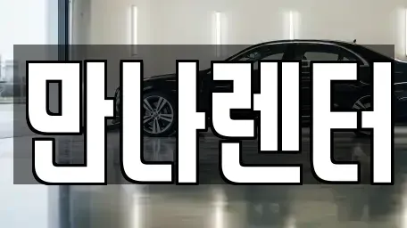 경기도 성남시 분당구 야탑동 장기렌트카 전문 만나렌터
