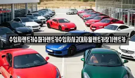 경기도 성남시 분당구 야탑동 장기렌트카,중고차,렌트카,단기렌트카,중고차매입,중고차매매
