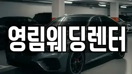 경기도 성남시 분당구 야탑동 장기렌트카 전문 영림웨딩렌터