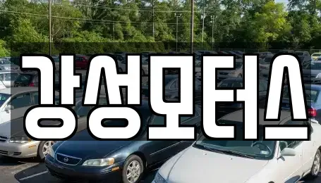 경기도 성남시 분당구 야탑동 중고차 전문 강성모터스