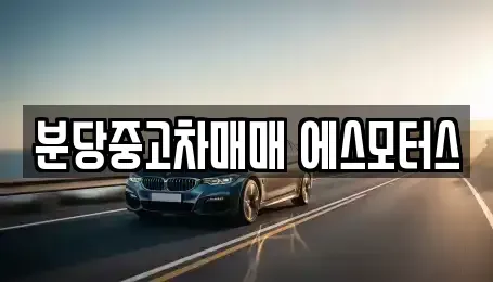 경기도 성남시 분당구 야탑동 중고차 전문 분당중고차매매 에스모터스
