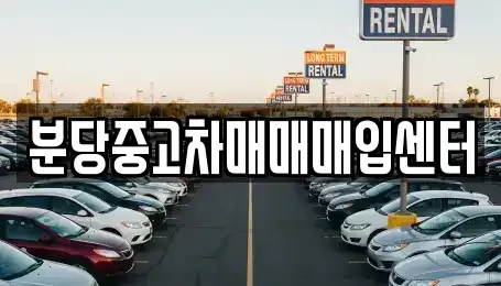 경기도 성남시 분당구 야탑동 중고차 전문 분당중고차매매매입센터