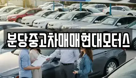 경기도 성남시 분당구 야탑동 중고차 전문 분당중고차매매현대모터스