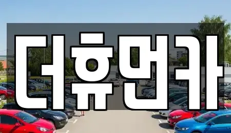 경기도 성남시 분당구 정자동 단기렌트카 전문 더휴먼카