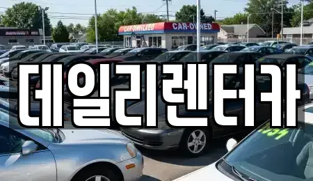 경기도 성남시 분당구 정자동 단기렌트카 전문 데일리렌터카