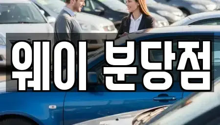 경기도 성남시 분당구 정자동 단기렌트카 전문 웨이 분당점