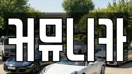 경기도 성남시 분당구 정자동 렌트카 전문 커뮤니카