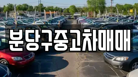 경기도 성남시 분당구 정자동 중고차 전문 분당구중고차매매