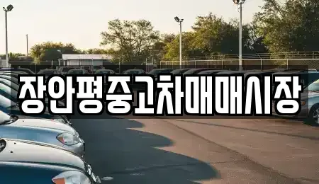 경기도 성남시 분당구 정자동 중고차 전문 장안평중고차매매시장