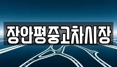 경기도 성남시 분당구 정자동 중고차 전문 장안평중고차시장