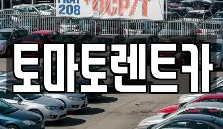 경기도 성남시 중원구 하대원동 렌트카 전문 토마토렌트카