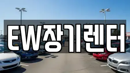 경기도 성남시 중원구 하대원동 장기렌트카 전문 EW장기렌터