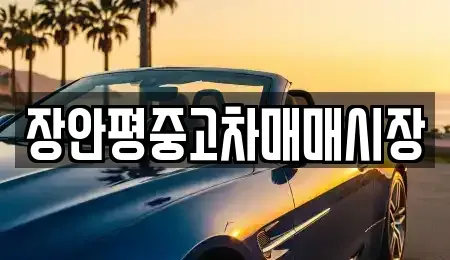 경기도 성남시 중원구 하대원동 중고차매매 전문 장안평중고차매매시장