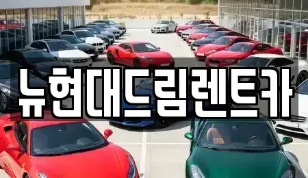 경기도 시흥시 하상동 렌트카 전문 뉴현대드림렌트카
