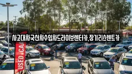 경기도 시흥시 하상동 렌트카 전문 사고대차국산차수입차드라이브렌터카,장기리스렌트카