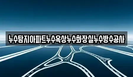 경기도 시흥시 하상동 중고차매입 전문 누수탐지아파트누수옥상누수화장실누수방수공사