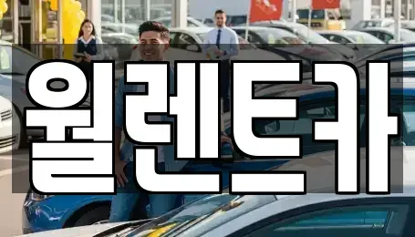경기도 안성시 금광면 렌트카 전문 월렌트카