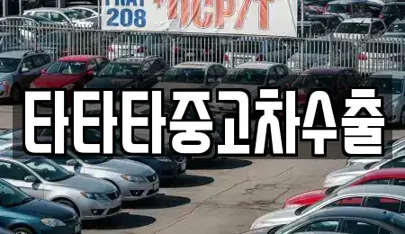경기도 안성시 금광면 중고차 전문 타타타중고차수출