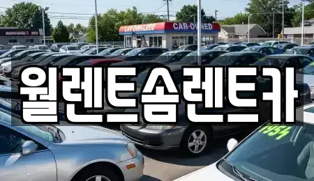 경기도 안성시 신모산동 렌트카 전문 월렌트솜렌트카