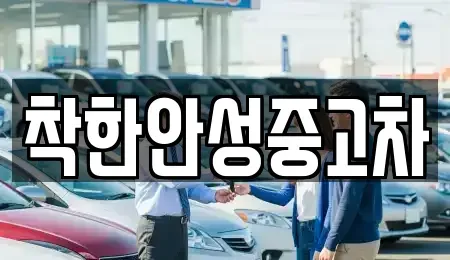경기도 안성시 신모산동 중고차매매 전문 착한안성중고차