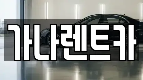 경기도 안성시 연지동 렌트카 전문 가나렌트카