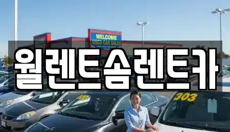 경기도 안성시 연지동 렌트카 전문 월렌트솜렌트카