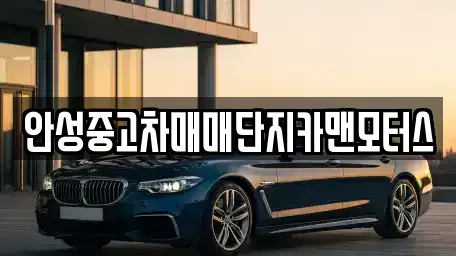 경기도 안성시 연지동 중고차 전문 안성중고차매매단지카맨모터스