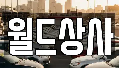 경기도 안성시 연지동 중고차 전문 월드상사