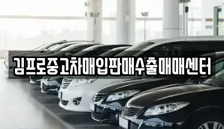 경기도 안성시 연지동 중고차매입 전문 김프로중고차매입판매수출매매센터