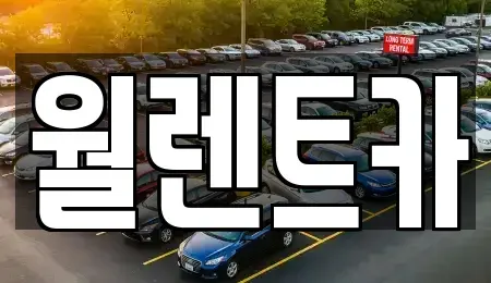 경기도 안성시 옥산동 렌트카 전문 월렌트카