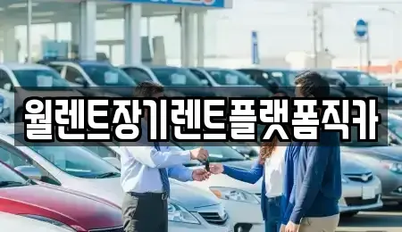 경기도 안성시 옥산동 장기렌트카 전문 월렌트장기렌트플랫폼직카