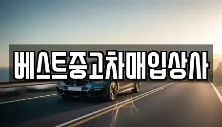 경기도 안성시 옥산동 중고차 전문 베스트중고차매입상사