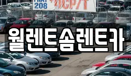 경기도 여주시 가업동 렌트카 전문 월렌트솜렌트카