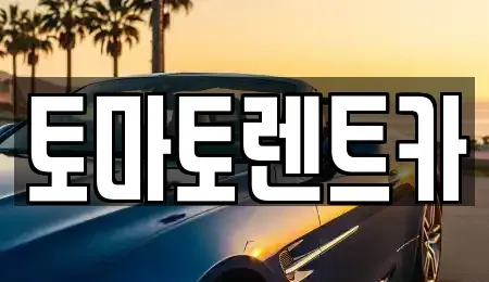 경기도 여주시 가업동 렌트카 전문 토마토렌트카