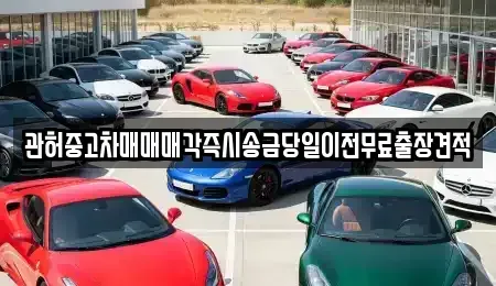 경기도 여주시 가업동 중고차매매 전문 관허중고차매매매각즉시송금당일이전무료출장견적